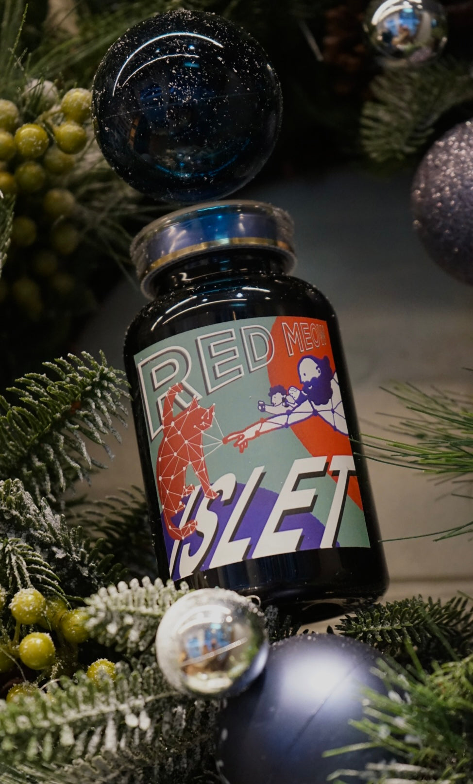 “Santa Claws” is coming to town 💝