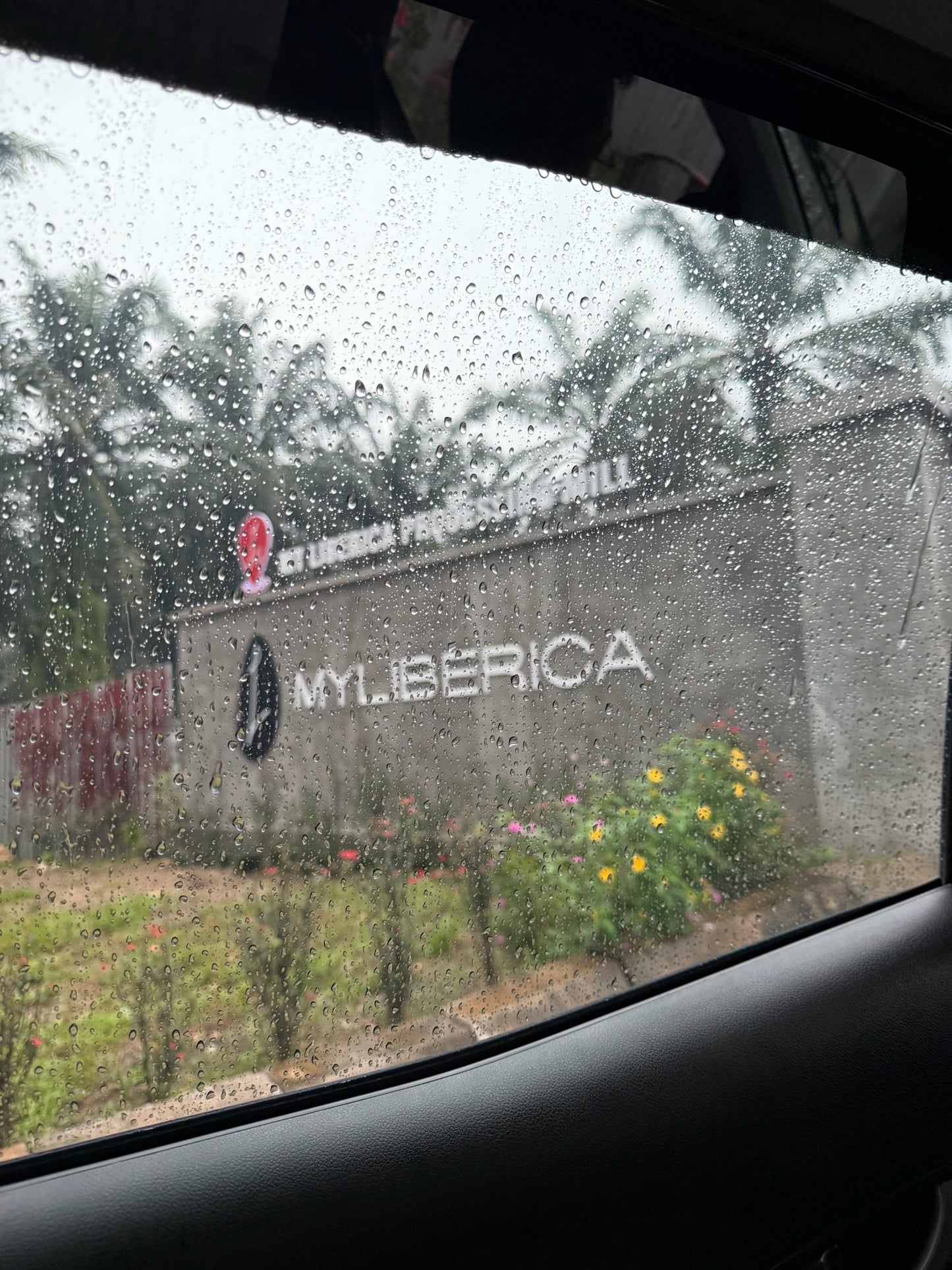 Natural Sun Dry MyLiberica Malaysia